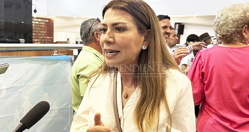 Celebra el PAN que se haya suspendido la iniciativa sobre Infancias Trans Celebra el PAN que se haya suspendido la iniciativa sobre Infancias Trans