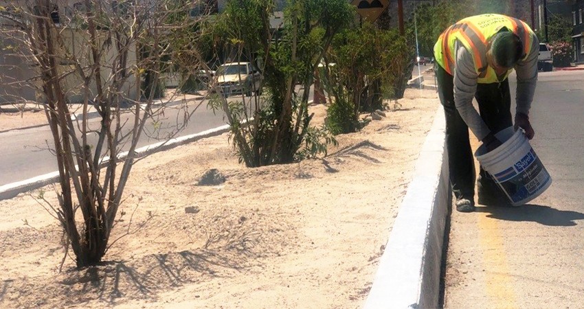 Inician trabajos de pintura en bulevar Márquez de León