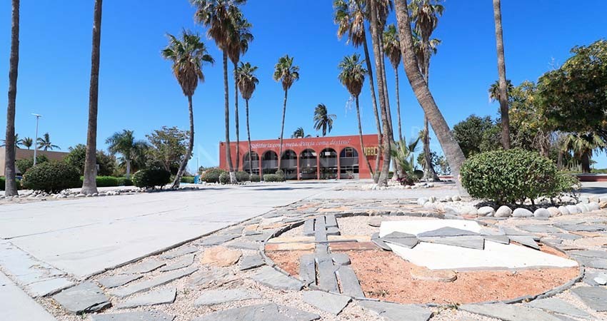 UABCS da a conocer los resultados de admisión a nuevo ingreso