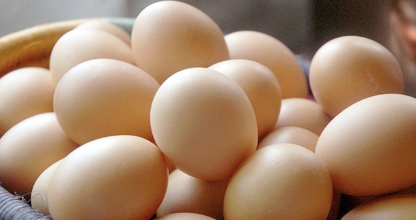 Alertan que precio del huevo sigue por las nubes, pese a que no hay influenza ni acaparamiento