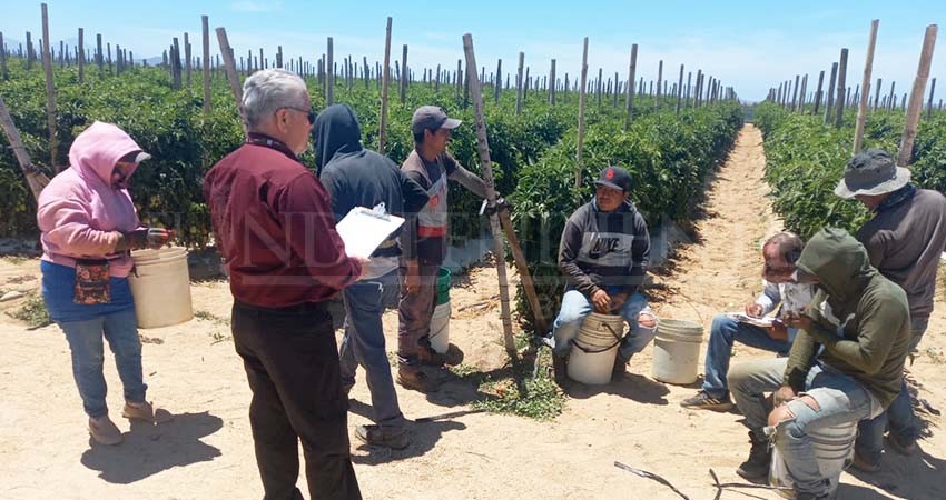 STByDS realiza protocolos de inspección laboral en el estado