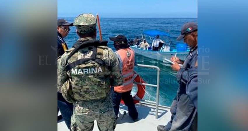 Libera personal de SEMAR a 36 ejemplares marinos, capturados ilegalmente Libera personal de SEMAR a 36 ejemplares marinos, capturados ilegalmente