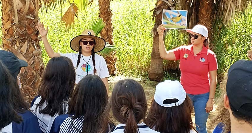 Visitas guiadas estrategia para la conservación de la Reserva Ecológica Estatal Estero de San José del Cabo
