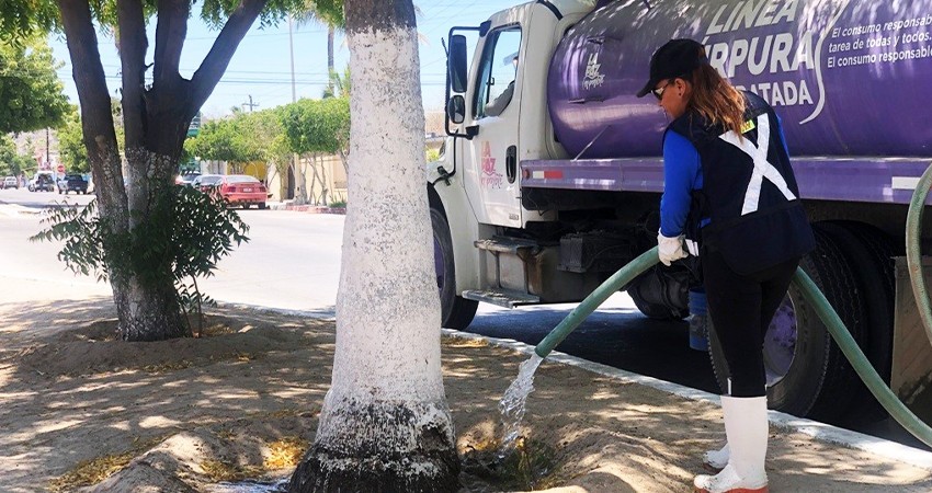 Se han utilizados más de 500 mil litros de agua tratada para riego en la ciudad