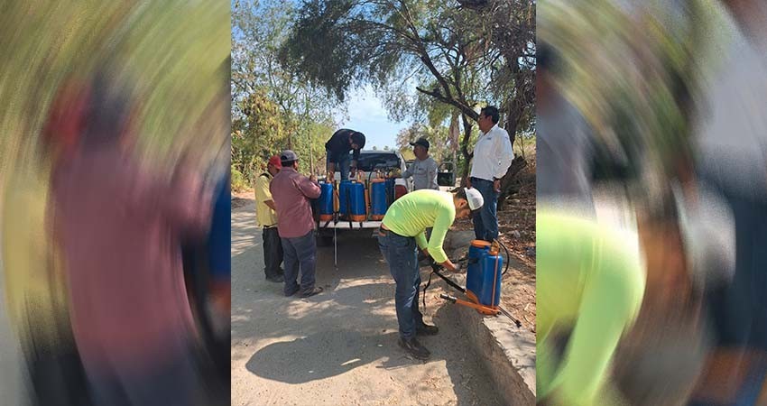 Intensificarán plan emergente contra mosca de la fruta: SEPADA