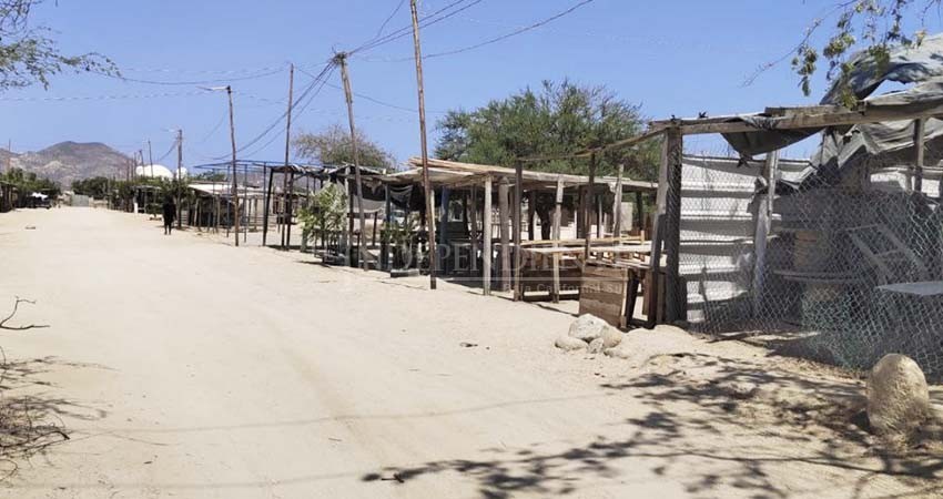 Requiere tianguis de La Ballena "orden y regulación": Leggs Castro