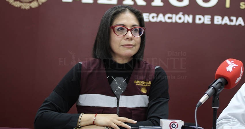 Veda electoral no afectará los programas sociales del gobierno federal Veda electoral no afectará los programas sociales del gobierno federal