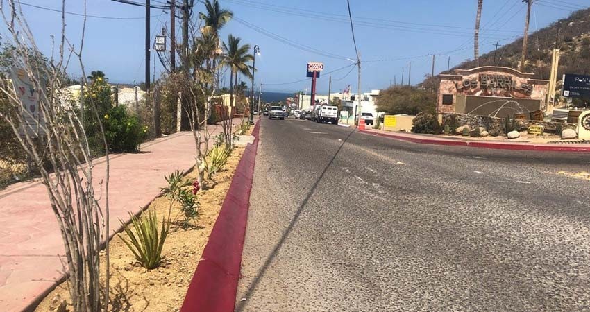 Realiza Servicios Públicos reforestación en el acceso principal de Los Barriles