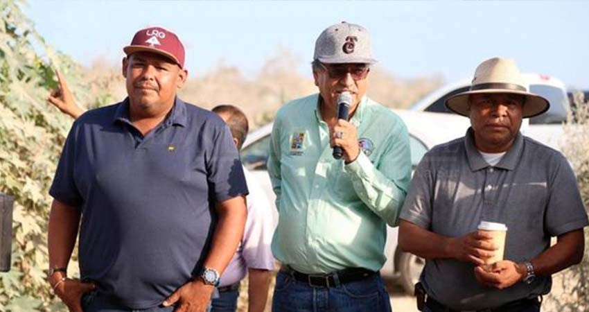 Hasta en dos municipios podría dividirse Cabo San Lucas: Leggs Castro Hasta en dos municipios podría dividirse Cabo San Lucas: Leggs Castro