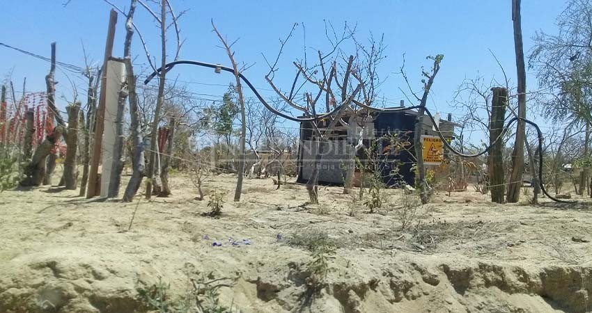 Protección Civil: Familias de Los Cabos siguen tomando cauces de arroyos para vivir Protección Civil: Familias de Los Cabos siguen tomando cauces de arroyos para vivir