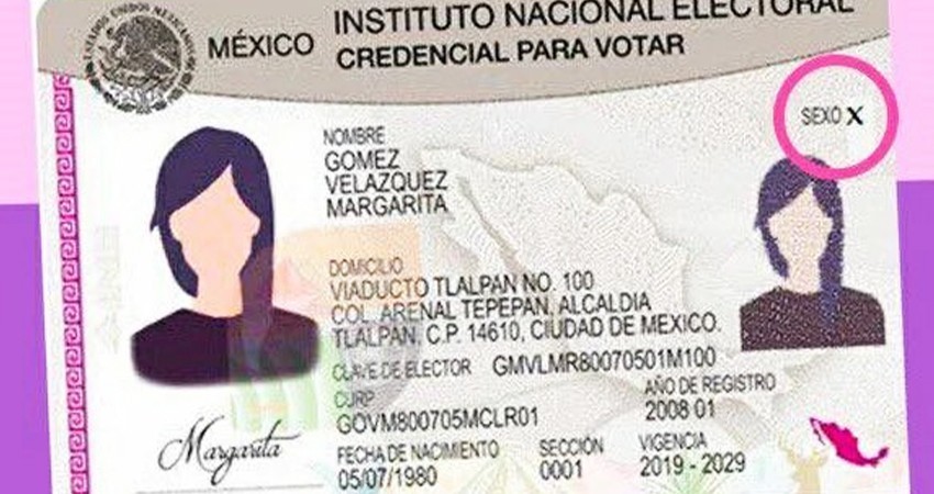 Consejeros de INE aprueban credenciales para personas trans