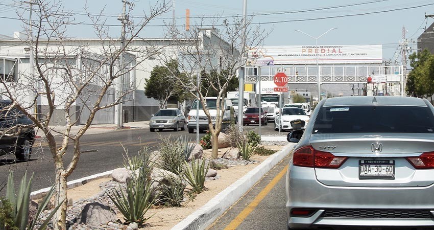 200 mil pesos han invertido en el embellecimiento de los camellones de La Paz