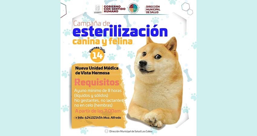 Este viernes llevarán a cabo campaña de esterilización canina y felina