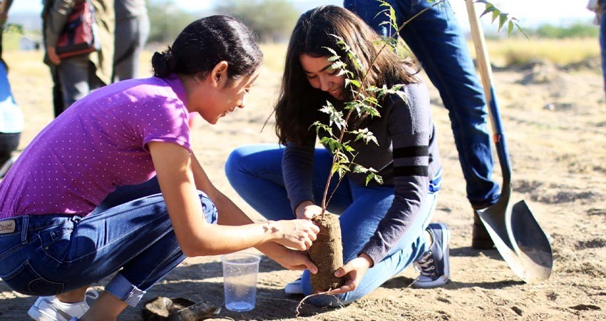 La UABCS trabaja en proyecto de oasis urbanos para su campo central