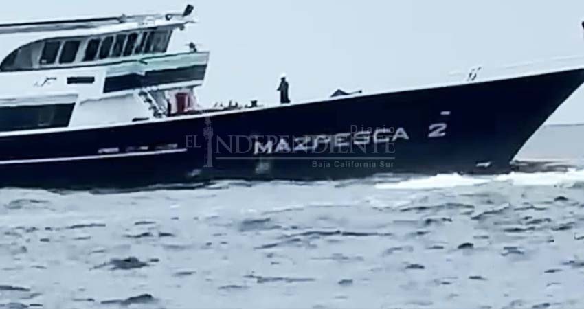 Detuvieron a tripulantes del barco atunero que fue detectado pescado en Cabo Pulmo Detuvieron a tripulantes del barco atunero que fue detectado pescado en Cabo Pulmo