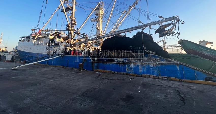 Barco Atunero responsable de red en Isla Las Ánimas fue cateado por FGR Barco Atunero responsable de red en Isla Las Ánimas fue cateado por FGR