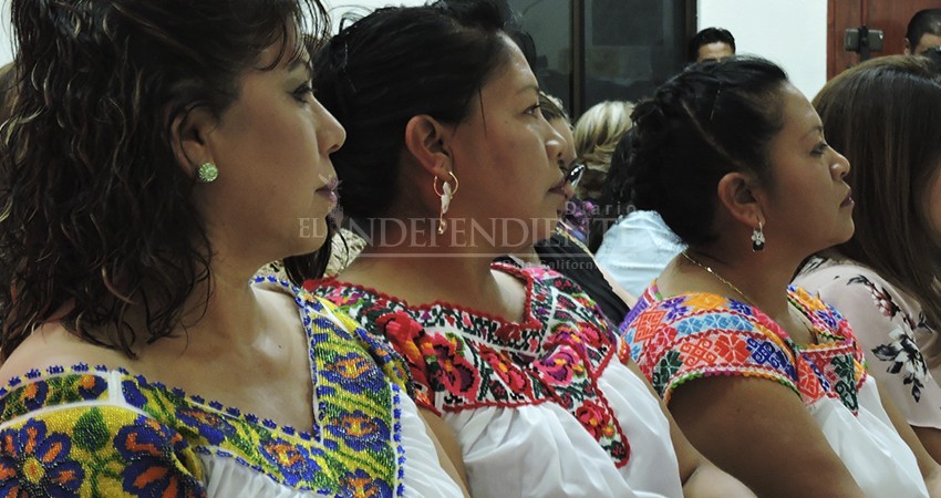 Representación de grupos prioritarios deben de garantizarse en la Reforma Electoral: LAD Representación de grupos prioritarios deben de garantizarse en la Reforma Electoral: LAD