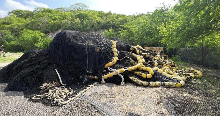 Por delito contra el medio ambiente FGR realiza cateo