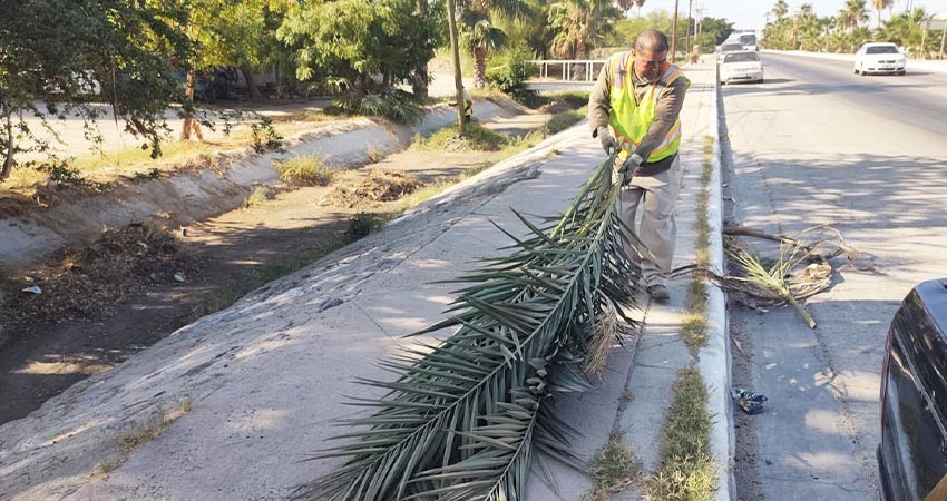 Realiza Servicios Públicos limpieza del canal de desagüe de Fidepaz