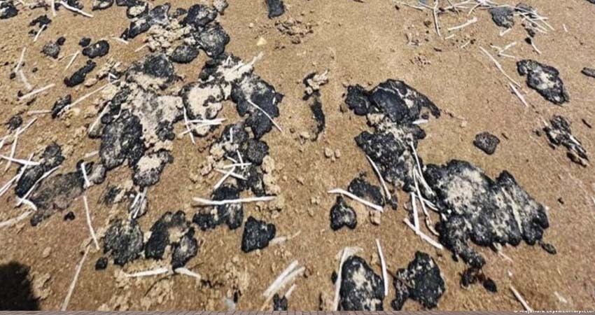 Reportan efectos del derrame petrolero en playas de Tabasco, Tamaulipas y Veracruz