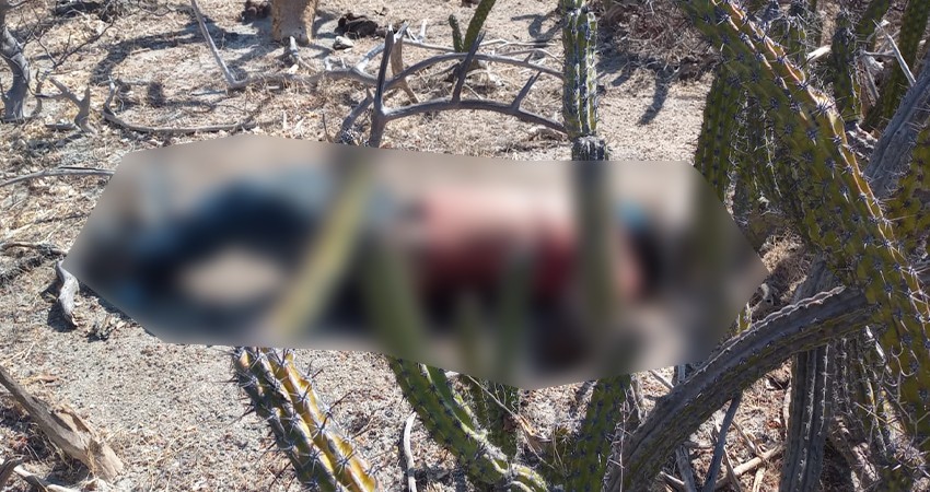 Encuentran una persona sin vida al sur de la ciudad