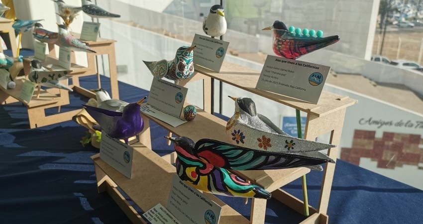 Se unen Baja California y Baja California Sur para exposición artística de aves Se unen Baja California y Baja California Sur para exposición artística de aves