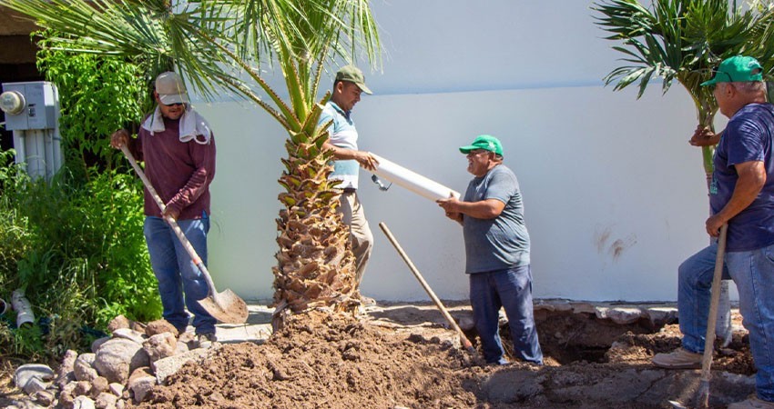 Atiendió OOMSPAS La Paz 177 fugas del 24 al 30 de julio