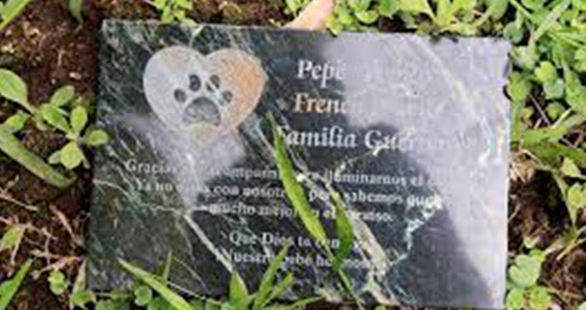 Enterrar mascotas en el jardín o en el patio es peligroso para las personas y el medio ambiente Enterrar mascotas en el jardín o en el patio es peligroso para las personas y el medio ambiente