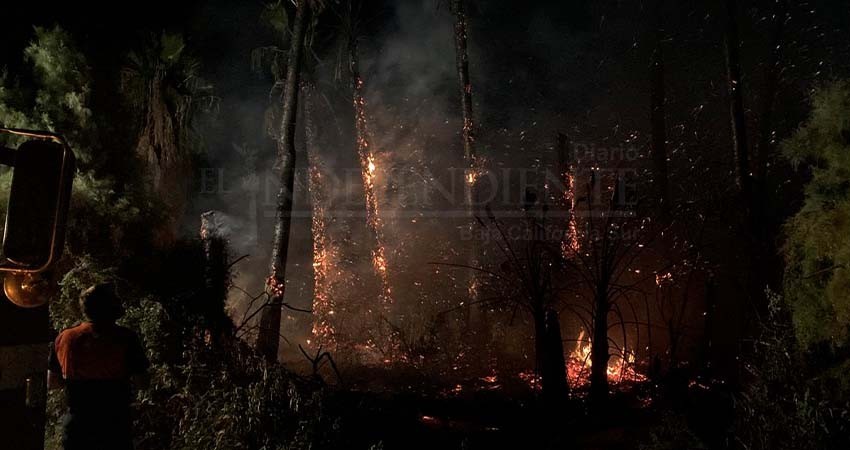 Preocupa que altas temperaturas provoquen incendios en el Estero SJC Preocupa que altas temperaturas provoquen incendios en el Estero SJC
