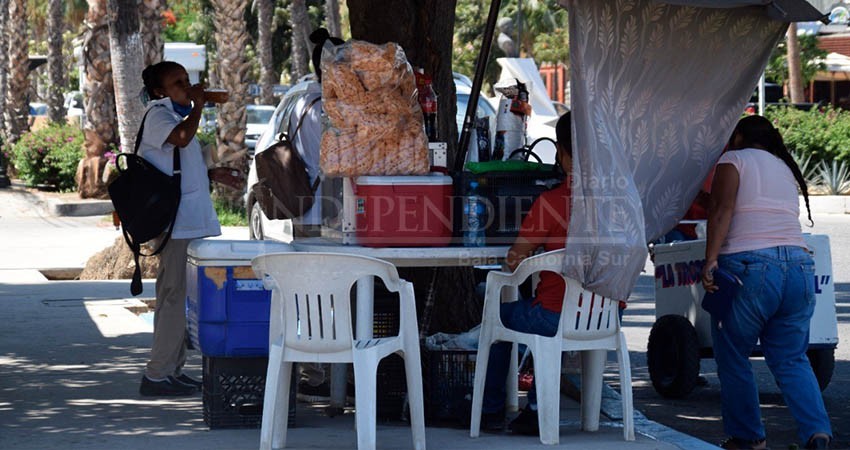 CONEVAL: BCS, la entidad con menos porcentaje de "pobreza laboral" CONEVAL: BCS, la entidad con menos porcentaje de "pobreza laboral"