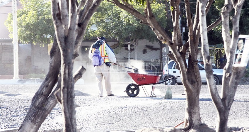 Denuncian: “a medias dejan camellones de la ciudad”; la autoridad asegura que en días se retomará el proyecto