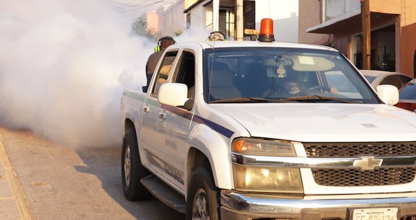 Emprende gobierno estatal primer ciclo de fumigación en Los Cabos
