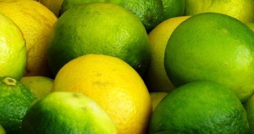 Precio del limón podría subir ante extorsiones a productores de Apatzingán Precio del limón podría subir ante extorsiones a productores de Apatzingán