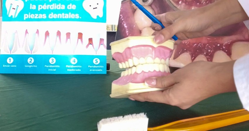 Promueve IMSS Baja California Sur cuidado de salud bucal en menores de edad Promueve IMSS Baja California Sur cuidado de salud bucal en menores de edad