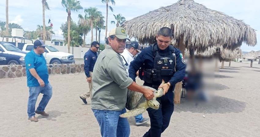 Asegura policía estatal preventiva y CONAPESCA producto marino en veda