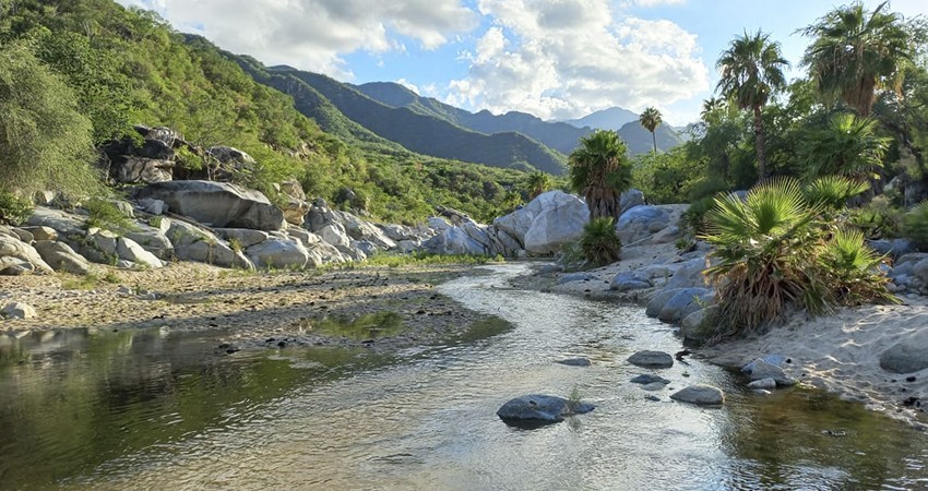 Sostiene Castro Cosío que su gobierno no autorizará proyectos mineros Sostiene Castro Cosío que su gobierno no autorizará proyectos mineros