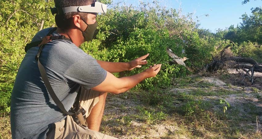 Invitan a festival de aves en la subdelegación Caduaño