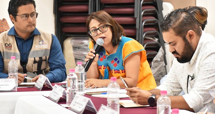 Celebra diputada Teresita Valentín obras de electrificación en comunidades muleginas