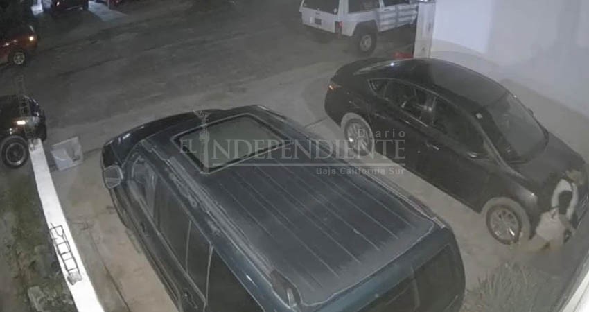 Caribe y Lomas del Sol: las colonias de CSL con más robo a casa-habitación Caribe y Lomas del Sol: las colonias de CSL con más robo a casa-habitación