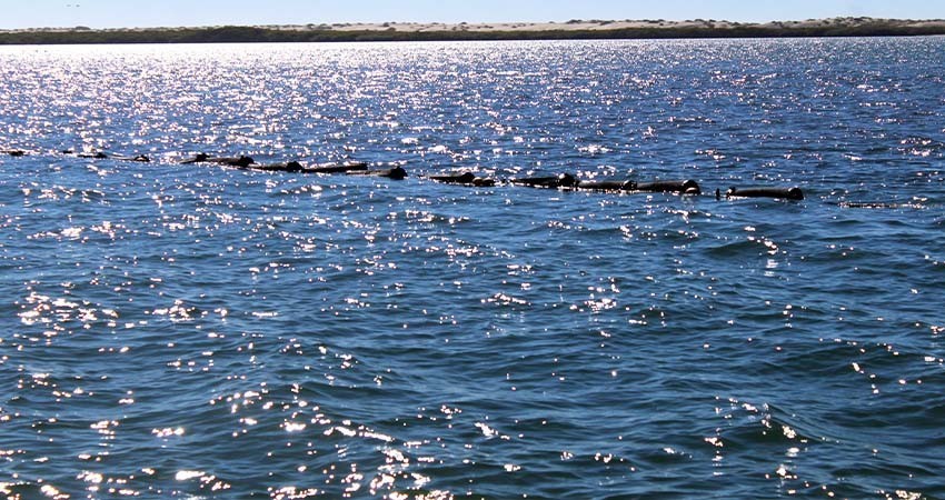 Trabaja SEPADA en convenio de certificación de cuerpos de agua en la zona norte
