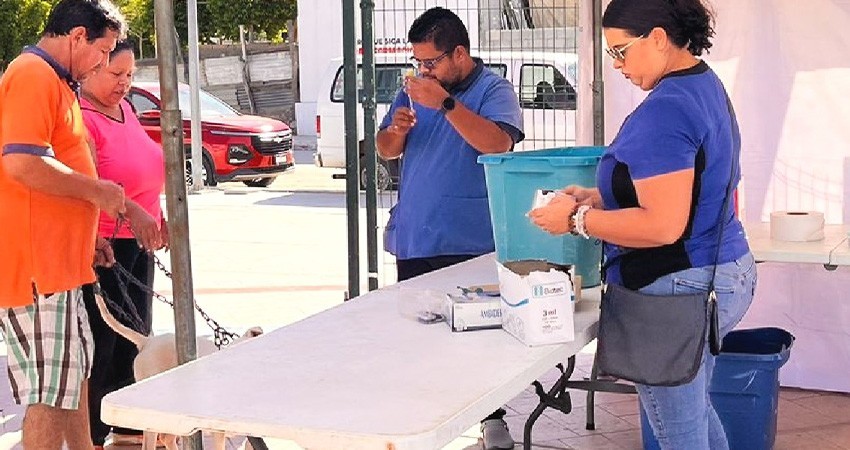 Realiza CEMAC Campaña de Esterilización en Olas Altas