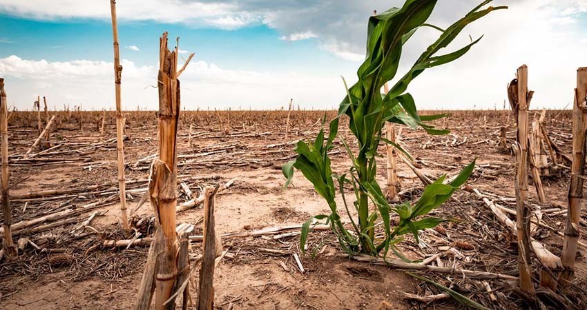 Temporada baja de huracanes tiene al país sin lluvias y con altas temperaturas Temporada baja de huracanes tiene al país sin lluvias y con altas temperaturas