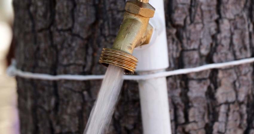 Contaron 101 colonias con servicio de agua potable por red, este 26 de septiembre: OOMSAPAS La Paz