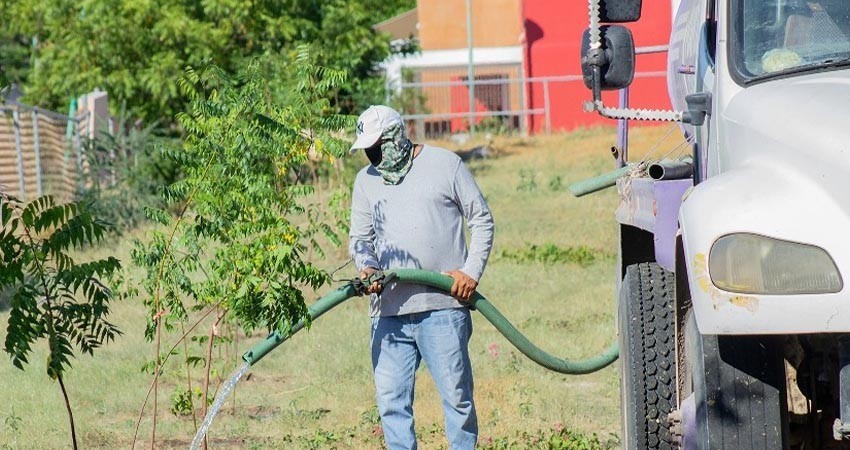 Se suma Servicios Públicos a la jornada de reforestación en el CECYT 08 de Camino Real