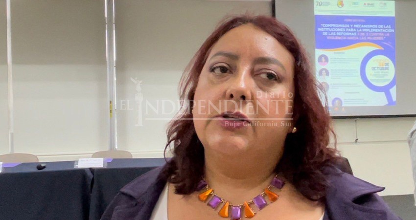 Prometen INE, IEE y TEE evitar que ningún agresor o deudor llegue al poder Prometen INE, IEE y TEE evitar que ningún agresor o deudor llegue al poder