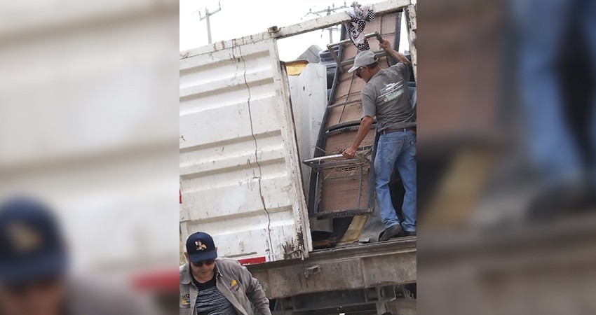 Alerta en playas de Los Cabos ante oleaje por fenómeno meteorológico, izan bandera roja