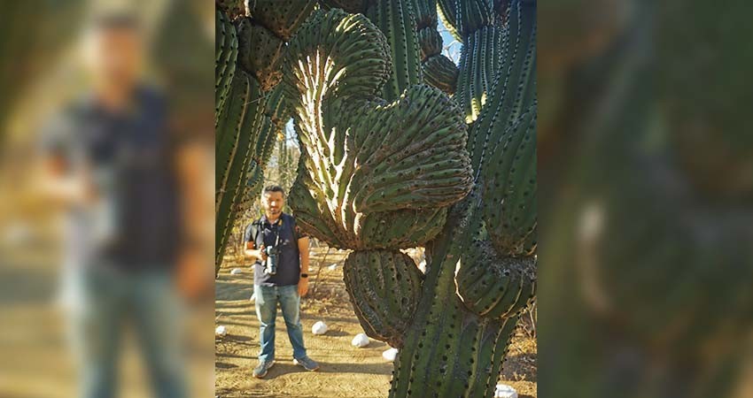 Invita UABCS al primer Festival de Aves del Santuario de Los Cactus en ejido El Rosario