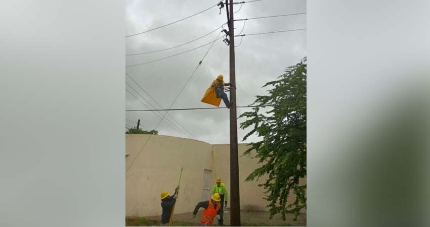 CFE logró recuperar el 62% del suministro eléctrico de los afectados por “Norma”