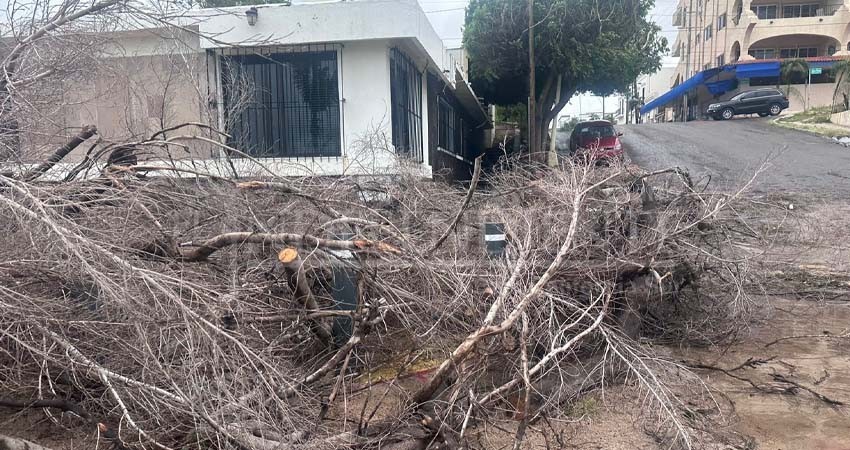 Evalúa SETUE condiciones actuales y daños del sector Evalúa SETUE condiciones actuales y daños del sector