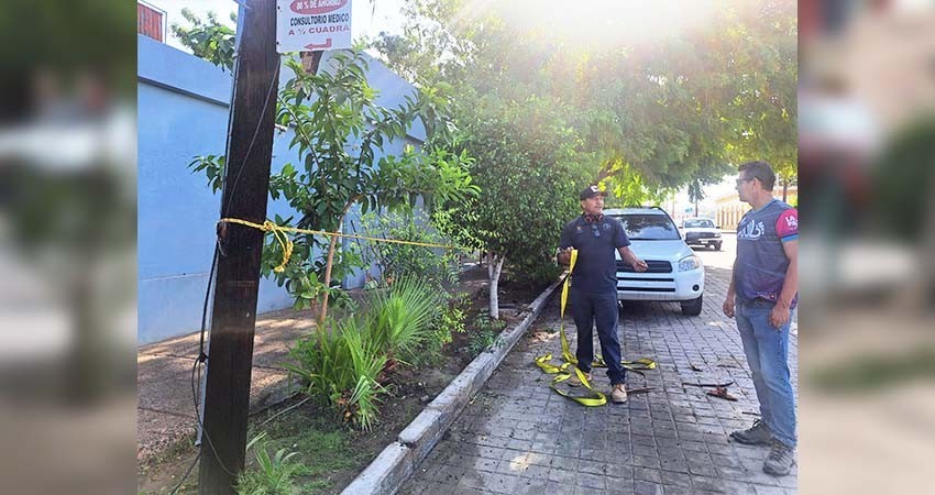 Reactivan actividades deportivas en campos y Centros Municipales